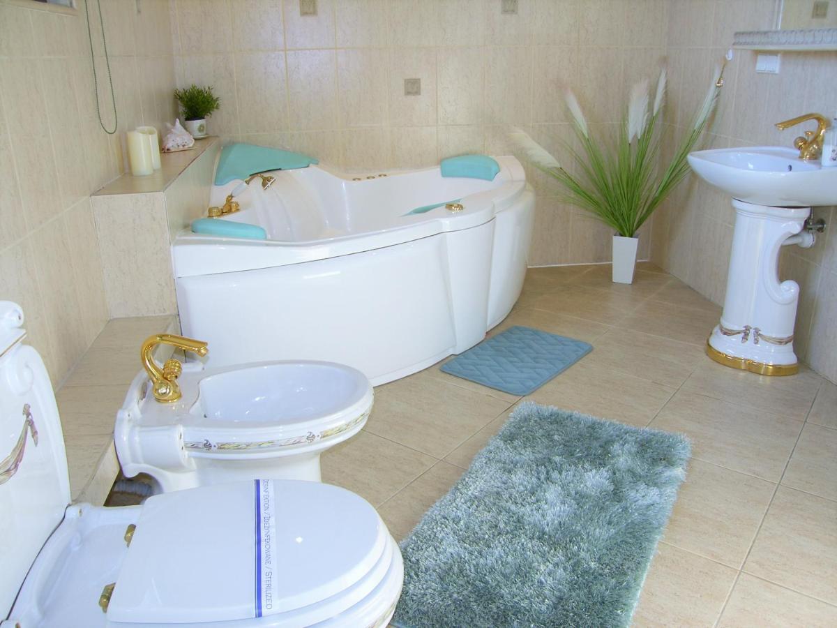 Kaliny Apartamenty Wanny Z Hydromasazem Chorzów Extérieur photo
